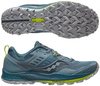 Saucony Peregrine 10